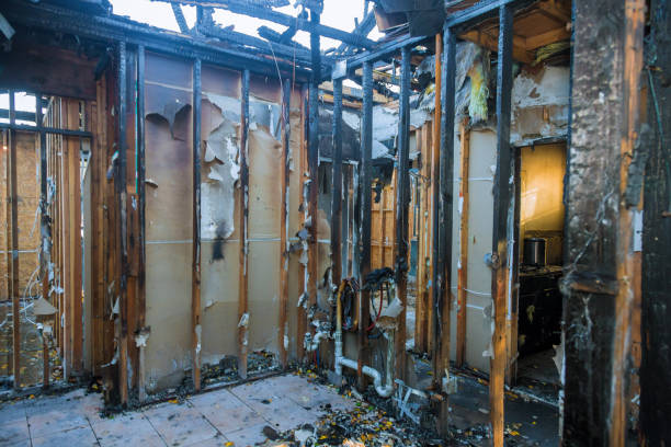 Professional Fire Damage Removal technician working in Georgetown, OH